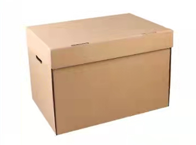 Carton